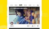 旅游景点霸凌爆料视频下载,视频曝光背后的真相与反思