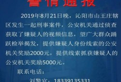 刑事案件爆料视频大全最新,追踪真相与正义