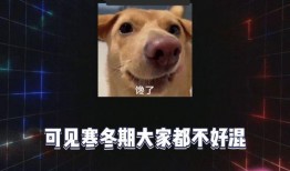 娱乐八卦吃瓜配图大全,吃瓜配图大全，带你领略明星幕后故事