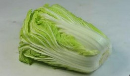娱乐吃瓜姐白菜,白菜带你领略娱乐圈的瓜田乐趣