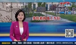 返厂最新爆料视频下载,揭秘神秘视频背后的技术革新与产业变革