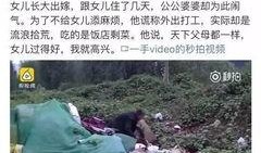 砀山最新事件爆料视频播放,视频爆料揭示惊人真相！